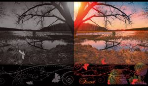 Chasing Sunset | A Journey Through Light & Dark | with Leaf & Butterfly Stencils