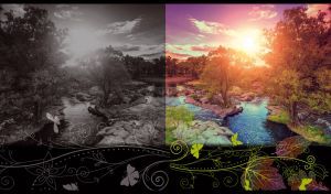 Green trees on rocks against the sunset landscape on a black backdrop