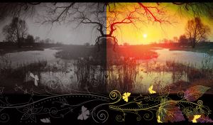 Reeds on the river bank against the sunset landscape on a black backdrop