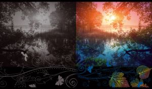 Trees by a quiet backwater against the sunset landscape on a black backdrop