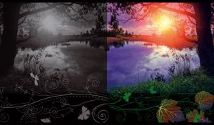 A tree by a violet pond against the sunset landscape on a black backdrop