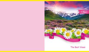 Spring Alpine meadow a pastel pink backdrop with a daisy footer