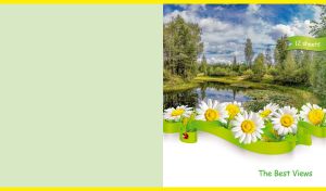 Spring backwater in a forest on a pastel green backdrop with a daisy footer