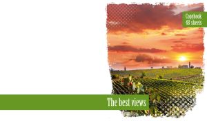 Sunrise over the vineyards landscape with grunge edges on a white backdrop