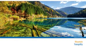 Tree trunks in the tranquil waters of a mountain lake in the daylight on white