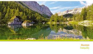 Coniferous forest on the rocky shore of the tranquil lake on white