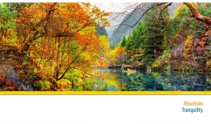 Magic autumn forest on the shore of a tranquil lake on white