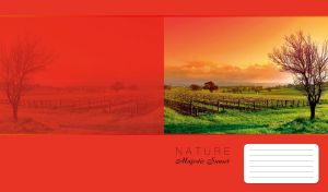 Majestic sunset on a vineyard and a green meadow on a red monochrome
