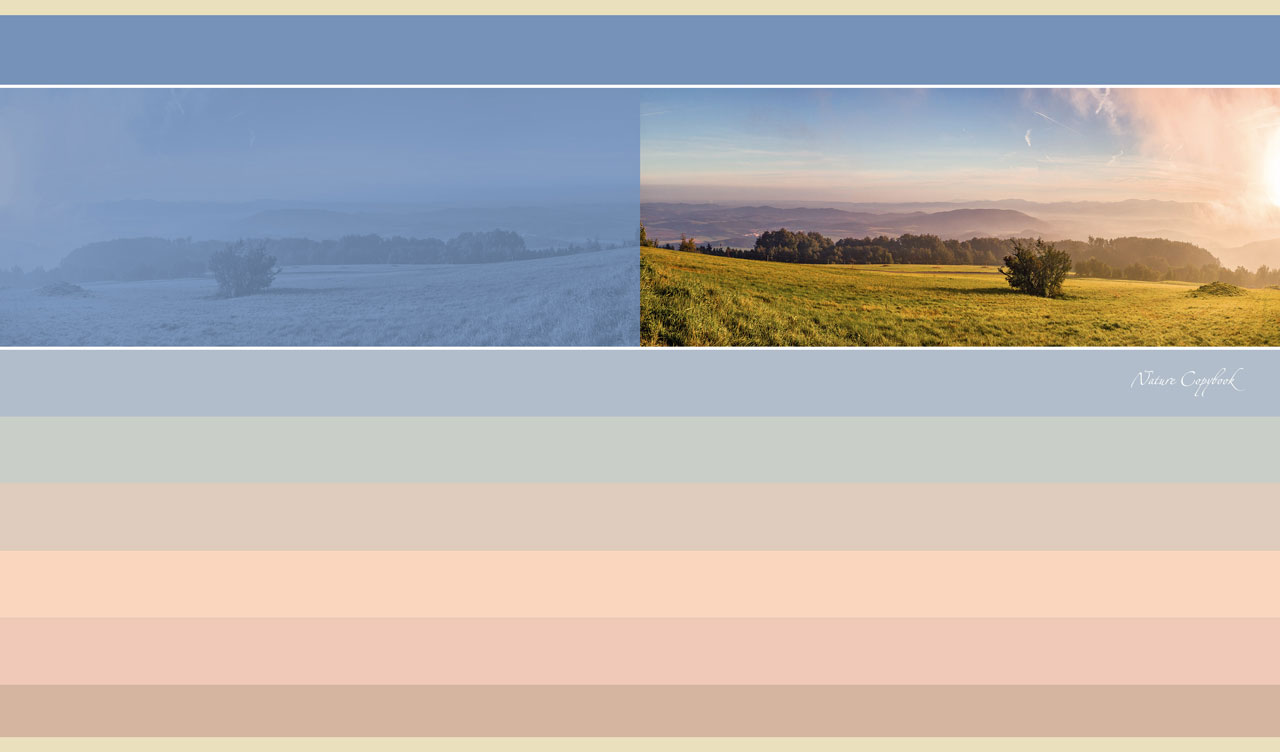 Tree in a green field at sunrise on blue to pastel brown color palette backdrop