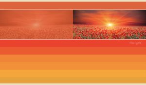 Field of red poppies in sun rays on dark orange to ocher color palette backdrop
