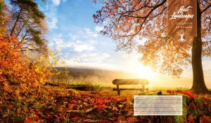 Wooden bench by an autumn tree against the hazy yellow sunrise in the blue sky