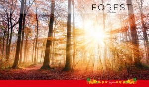 Bright yellow solar symphony in a golden autumn forest in a full-page scene