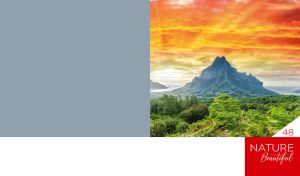 Windswept trees at an orange sunset on a green-grey background