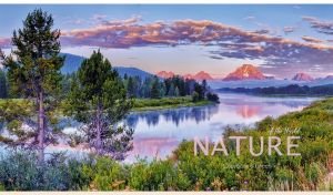 A purple mountain lake surrounded by greenery and spruce trees at blue dawn