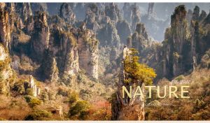 Zhangjiajie National Forest Park's ocher-grey pillar stones in a light haze