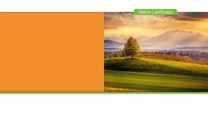 Autumn Aura | Nature Landscape on Orange & White