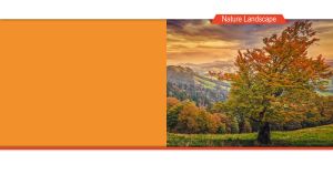 Autumn landscape of a golden tree in mountain valley at dusk on orange and white