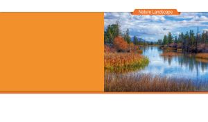 Autumn landscape of sedges, thickets and trees by a river on orange and white