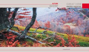 Amazing autumn view of the red autumn trees in the Carpathian valley