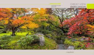 Amazing autumn view of colorful foliage in a Japanese park