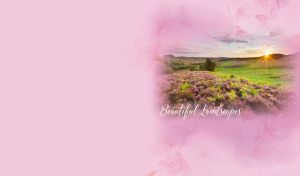 Beautiful landscape with a summer meadow at dawn in a pastel fuchsia vignette