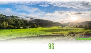 Best Nature Moments | Landscapes Under Blue Skies with White Vignettes