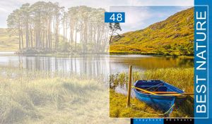 Faded Paradise | Best Nature’s Essence Framed in Soft Pastels