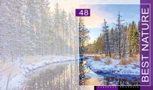 Snow-covered spruces on the bank of a winter river on a faded pastel landscape