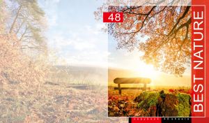 Bench under an autumn tree in the rays of dawn on a faded pastel landscape