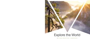 Mountain forest above morning fog, presented in triangular frames on white