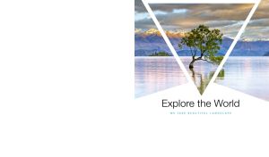 Lone tree in a mountain lake at dawn, presented in triangular frames on white