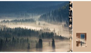 Aerial view of fir mountains covered in grey mist with a beige side panel
