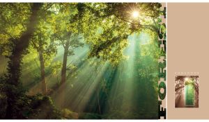 Sun rays stream through tree crowns in a dense forest with a beige side panel