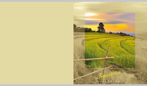 Green terraced rice field at a picturesque dawn in a pastel green-beige frame