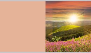 Sunrise over a lavender field and lush mountains on a pastel beige-pink backdrop
