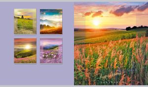 Green field of needle grasses at a bright dawn on a pastel violet backdrop