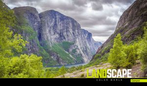 Panoramic view of a river flowing through a mossy canyon under gray clouds