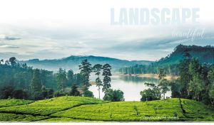 Beautiful Landscapes | Panoramic Scenes Capturing Nature's Vignettes