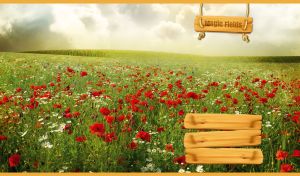 Magical landscape with a green field of poppies and daisies under grey clouds