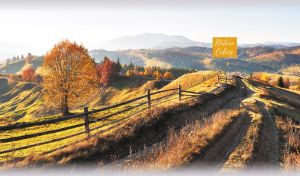 Autumn landscape with a farm fence casting shadow along a dirt road