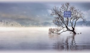 Late autumn landscape with a frozen tree in a pastel navy hazy lake