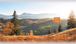 Late autumn landscape of a mountain valley and lush hills in white sunshine