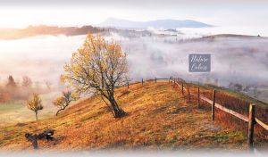Autumn landscape with hilly pastures in the pastel purple fog