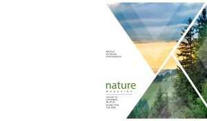 Dawn at the edge of the forest in geometric panels on a white backdrop