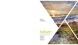 Dawn over the foamy sea waves in geometric panels on a white backdrop