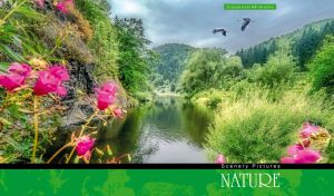 Nature's Scenery Picture | Landscapes Beneath Overcast Skies