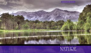 Forest by a lake at the foot of a mountain against a purple-grey overcast sky