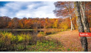 Colorful landscape with a lake in an autumn forest with golden leaves