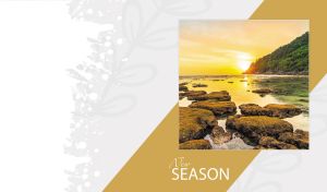 New Season | Nature's Reflections on Pastel Backdrop with Oblique Panel