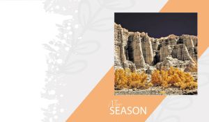 Rock formation in the moonlight on a grey backdrop with a peach oblique panel